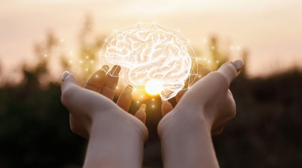 Hands holding illustration of a brain to symbolize EMDR Counseling