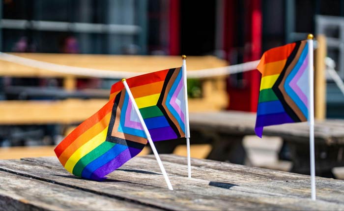 Week 2 Pride Flags: Crafting Identity, Piece by Piece
